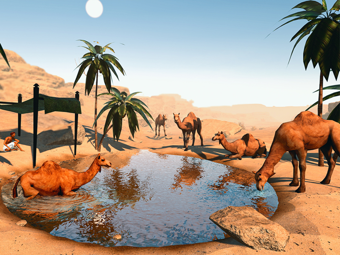 Camel Life Survival Simulator