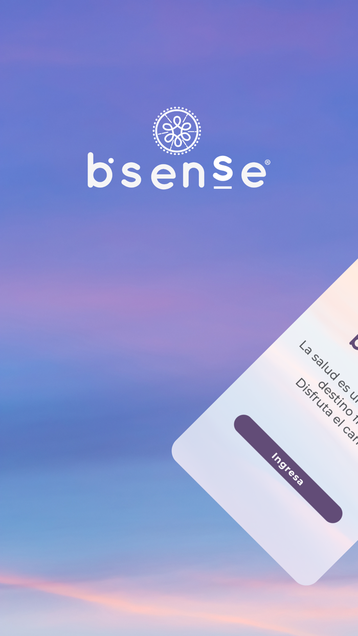 bsense corp