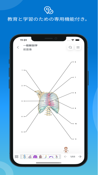 IMAIOS e-Anatomyスクリーンショット