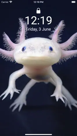 Game screenshot Cute Axolotl - Wallpapers. apk