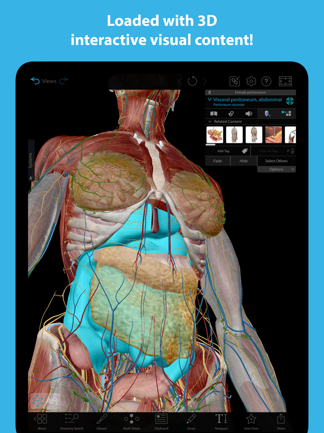 ‎Captura de tela do Atlas de Anatomia Humana 2024