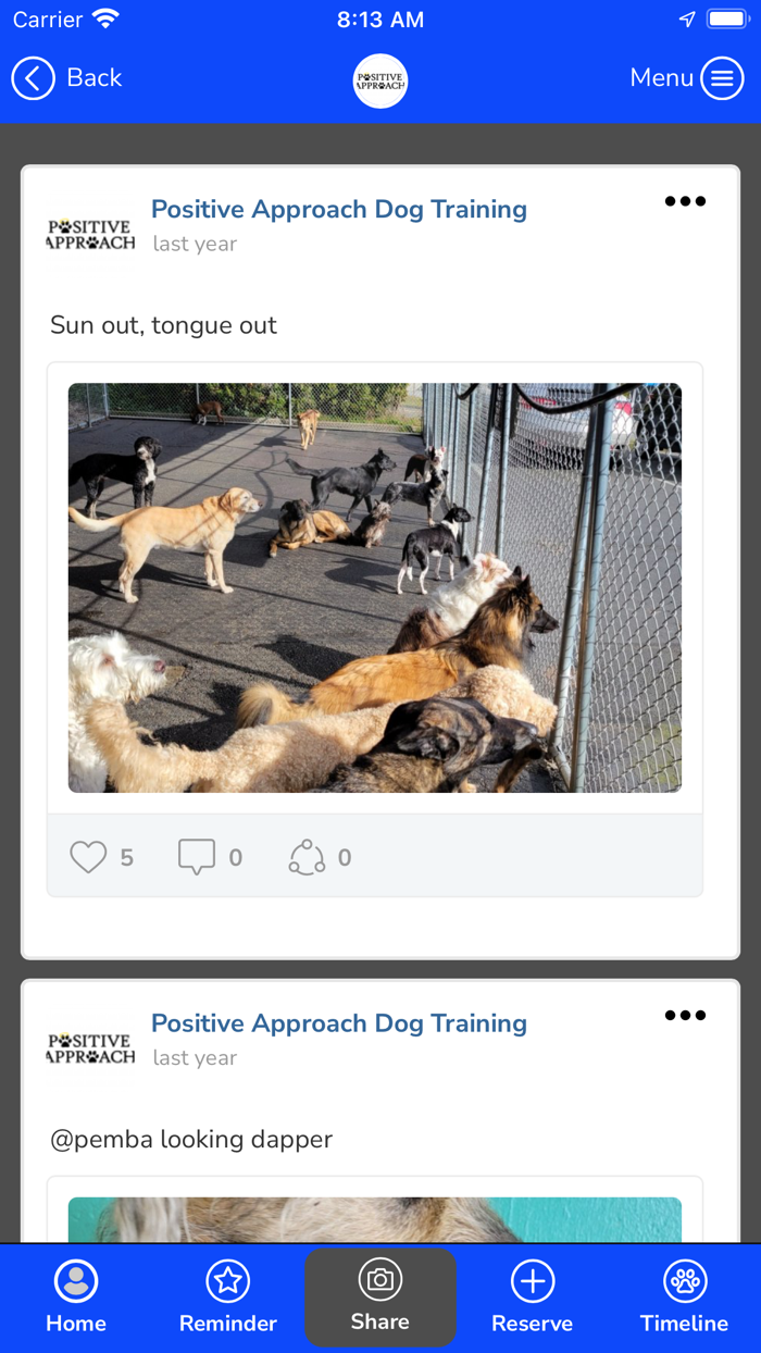 Positive Approach Dog Training