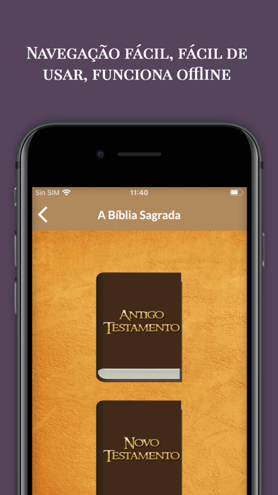 A Bíblia Sagrada com Áudio Screenshot