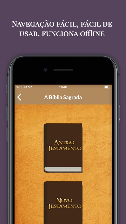A Bíblia Sagrada com Áudio screenshot-4