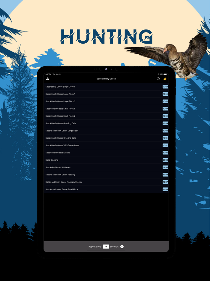 Specklebelly Goose Magnet