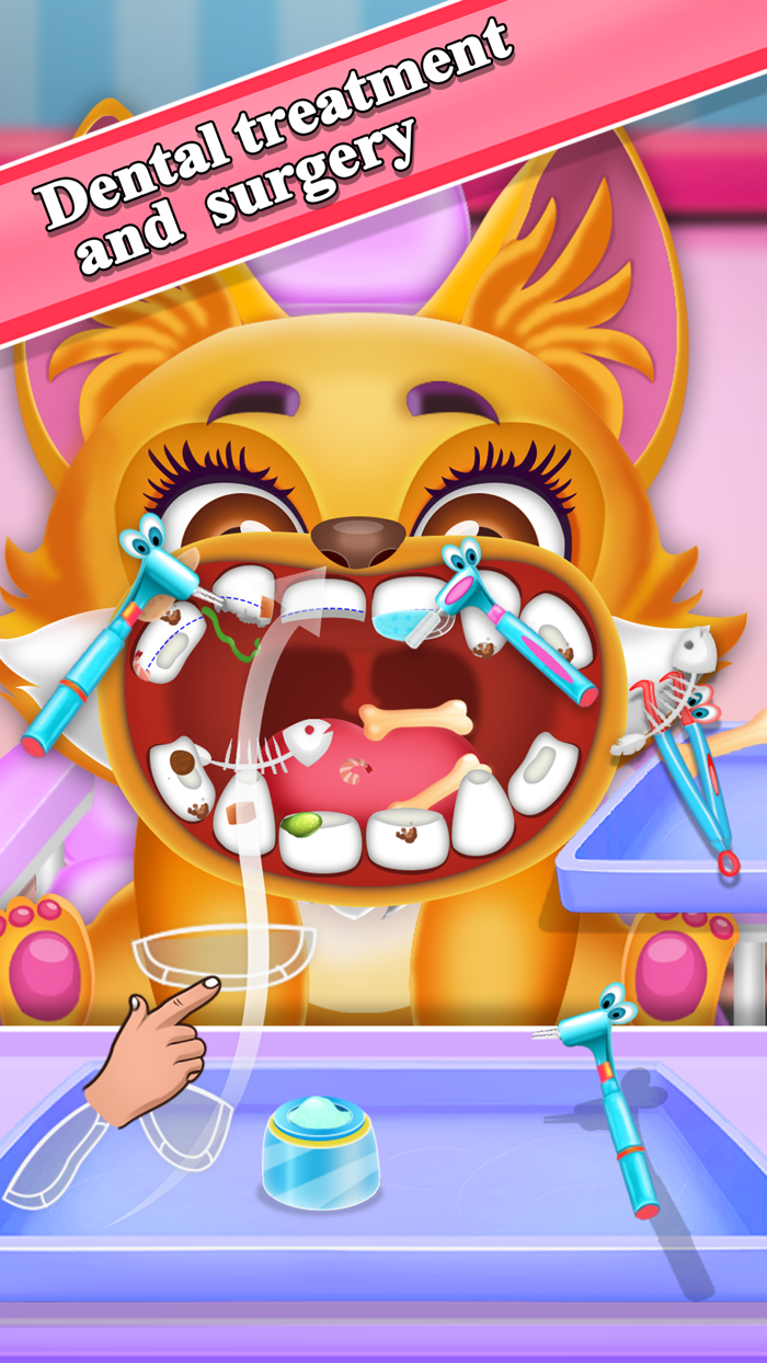 Animals Dentist  Doctors care