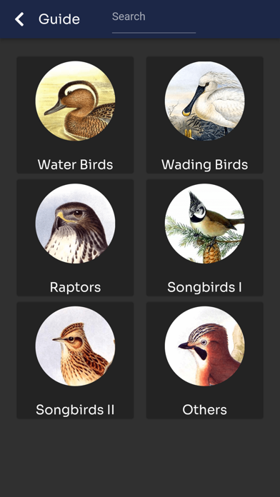 Bird Melody - Birds of Europe Screenshot