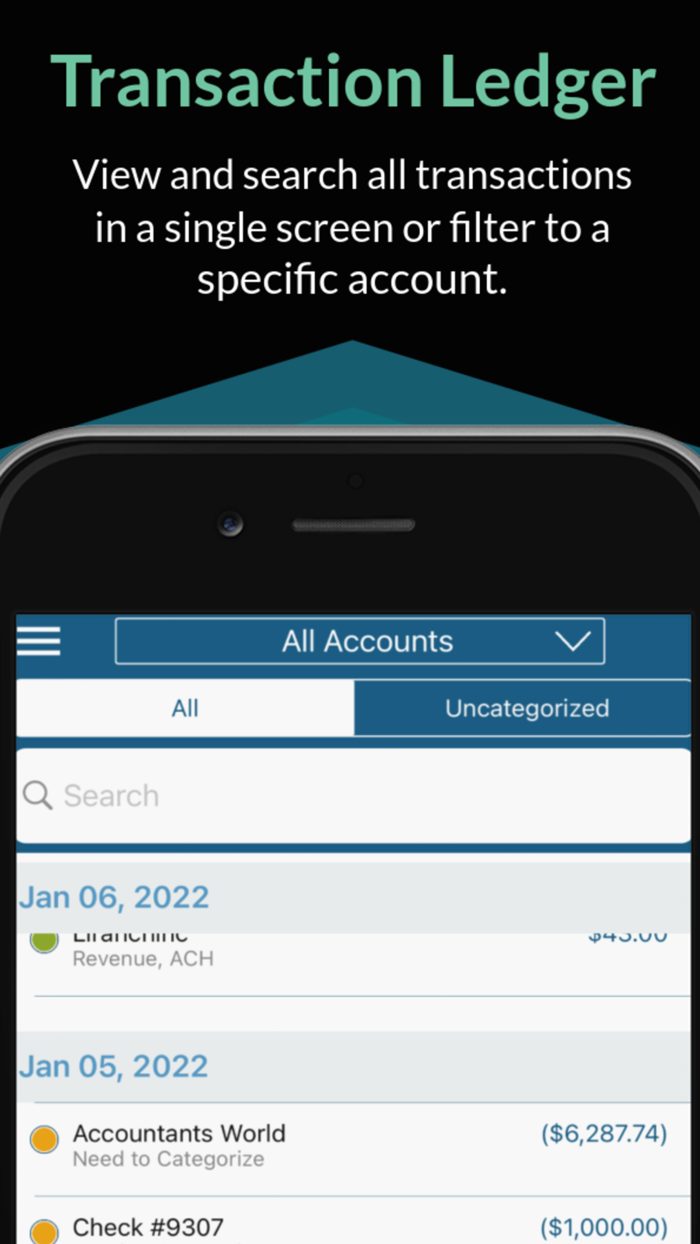 Ledger Perfect Small Business