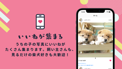 シバタロウ：柴犬コミュニティアプリ Screenshot