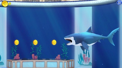 My Shark Show Screenshot