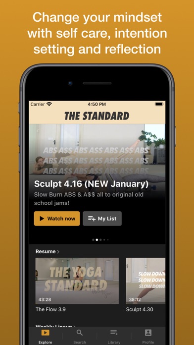 The Yoga Standard Screenshot