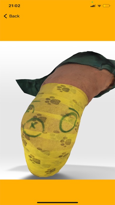 OrthoScan Screenshot