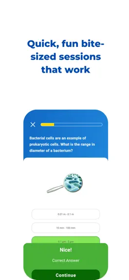 Game screenshot GCSE Exam Revision & Homework apk