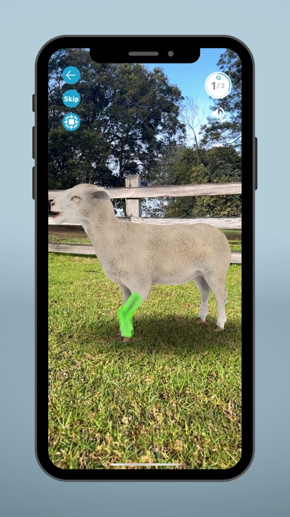 Sheep EAD AR screenshot-4