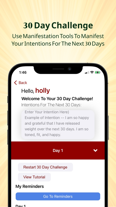 Magnet To Money - Manifest Screenshot