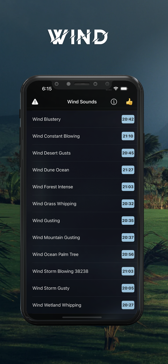 Wind Calming Night Sounds