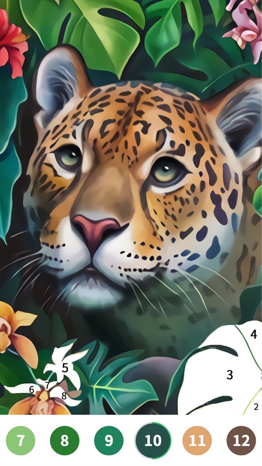 #2. Color Painting-Color By Number (iOS) 由: Yang Li