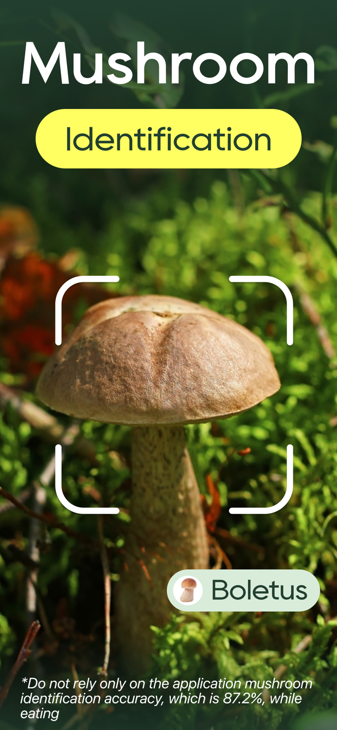 Plant Identifier Plant Care