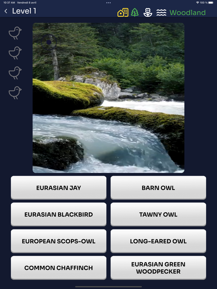 Bird Melody - Birds of Europe