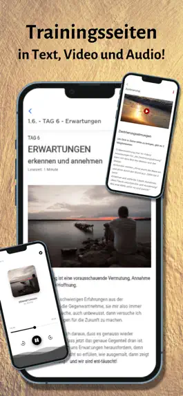 Game screenshot SemeVentus hack