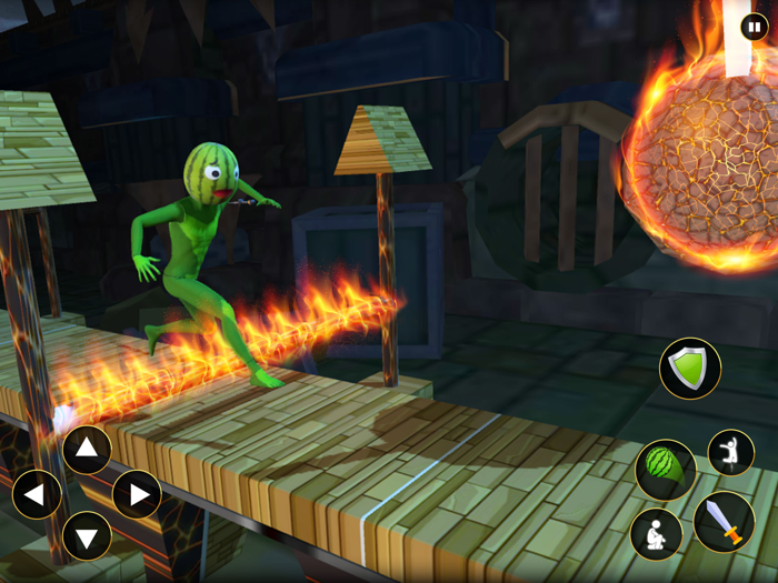 Watermelon Ragdoll Playground