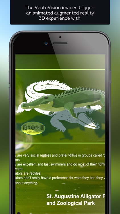 VectoVision Magic Images screenshot-4