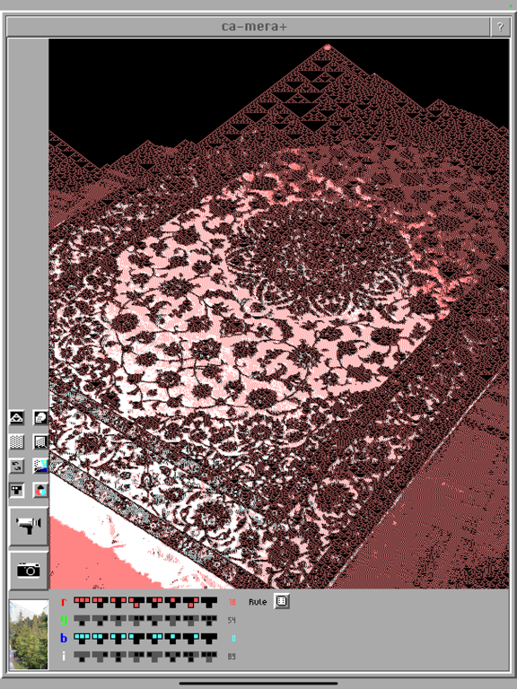 ca-mera+ iPad screenshot 1 - Photo & Video app