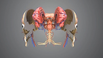 Virtual Reality Human Body! Screenshot