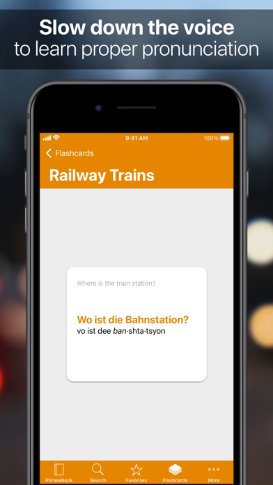 SpeakEasy German Phrasebook Screenshot