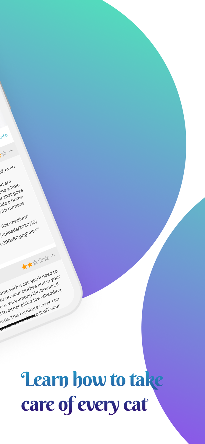 Cat Caring Breeds and Guides