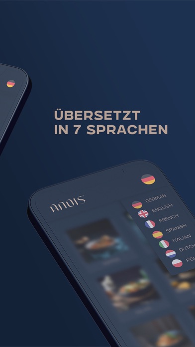 ANOIS Screenshot