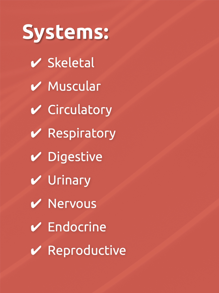 Anatomix - Human Body Game