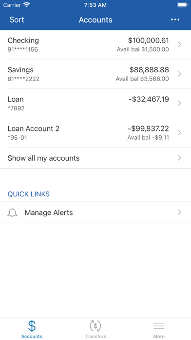 Blue Water FCU Screenshot