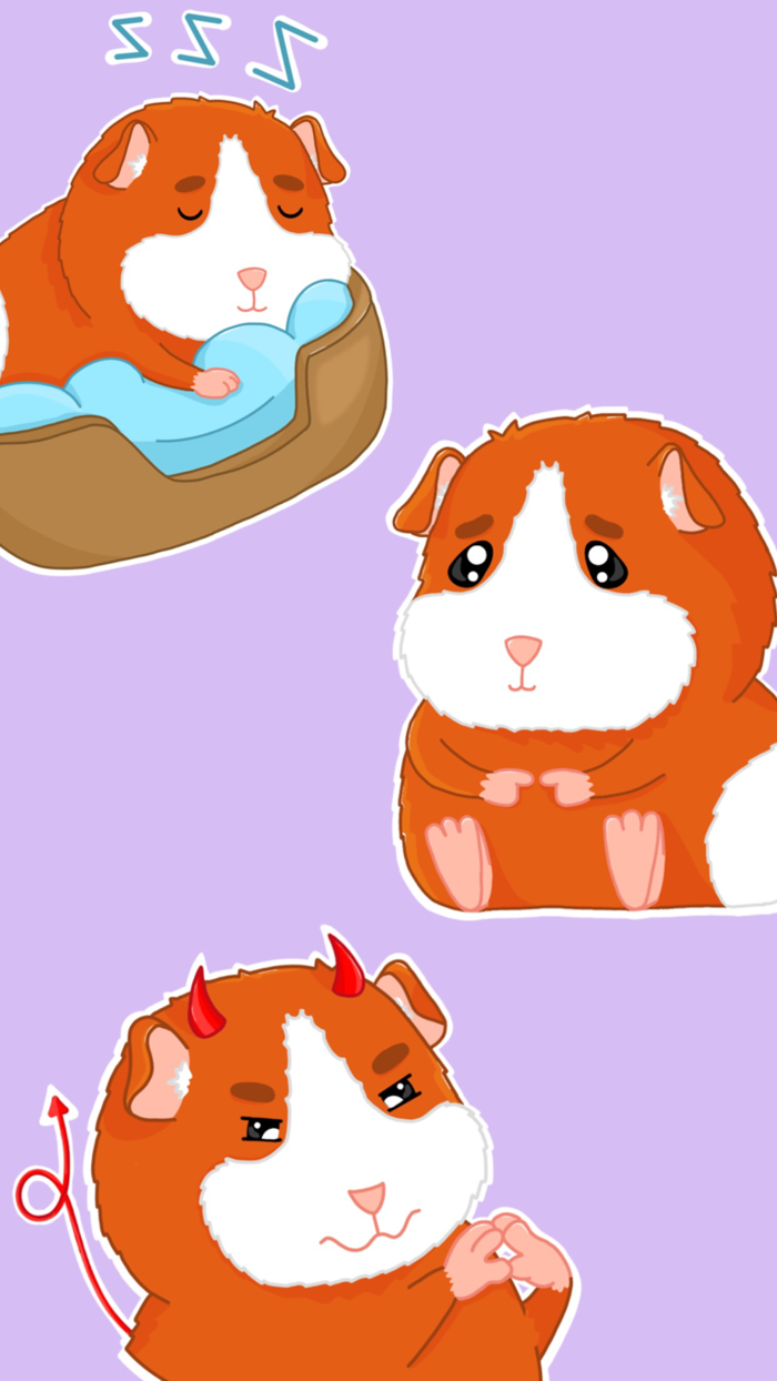 Cute Guinea Piggy