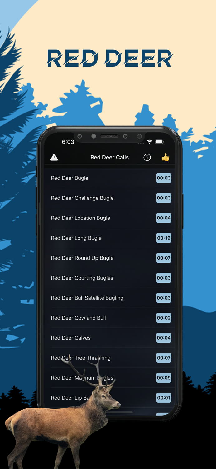 Red Deer Magnet - Deer Calls