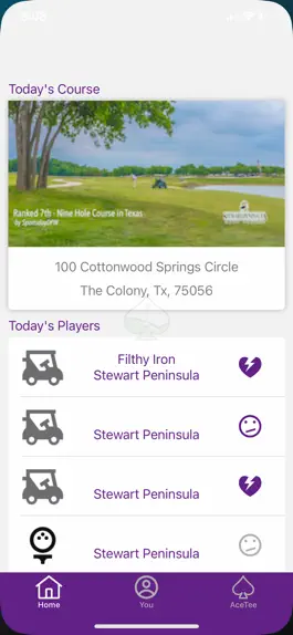 Game screenshot AceTee hack