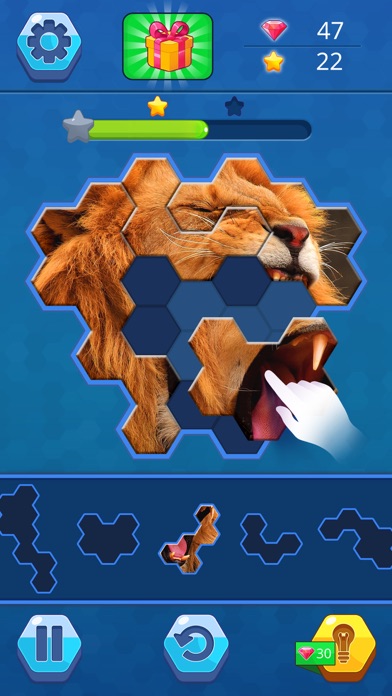 Hexa Jigsaw puzzle Screenshot