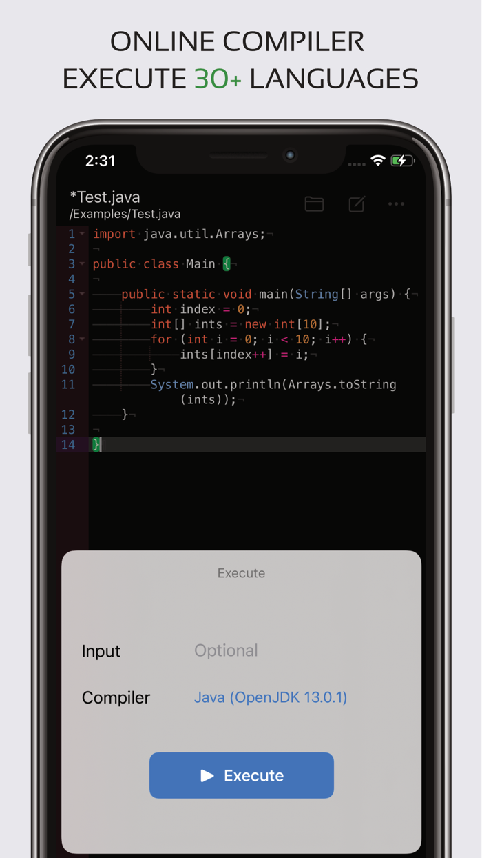 Code Editor - Compiler and IDE