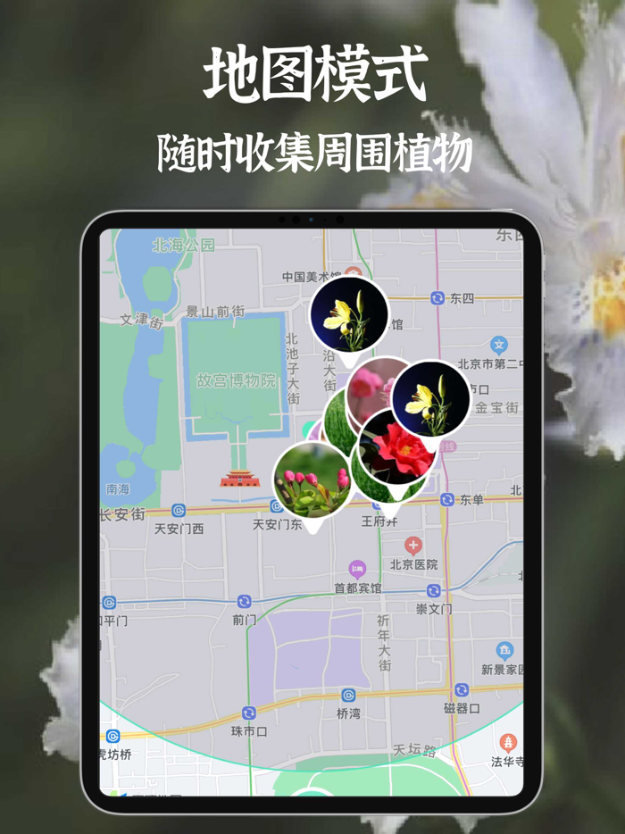 拍照识别植物-精准识花草虫鸟树木