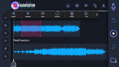 Audio Editor: Recording Studio Screenshot