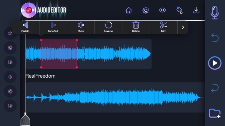 Audio Editor: Recording Studio