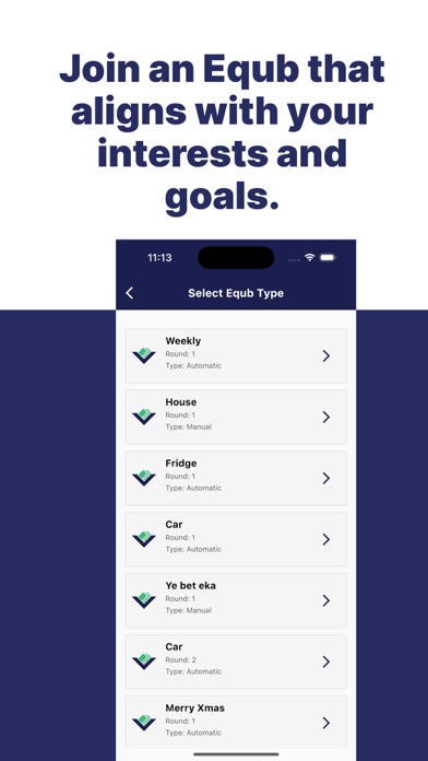 Virtual Equb Screenshot