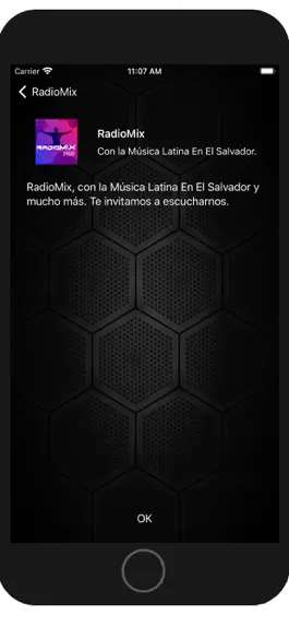 Game screenshot RadioMix hack