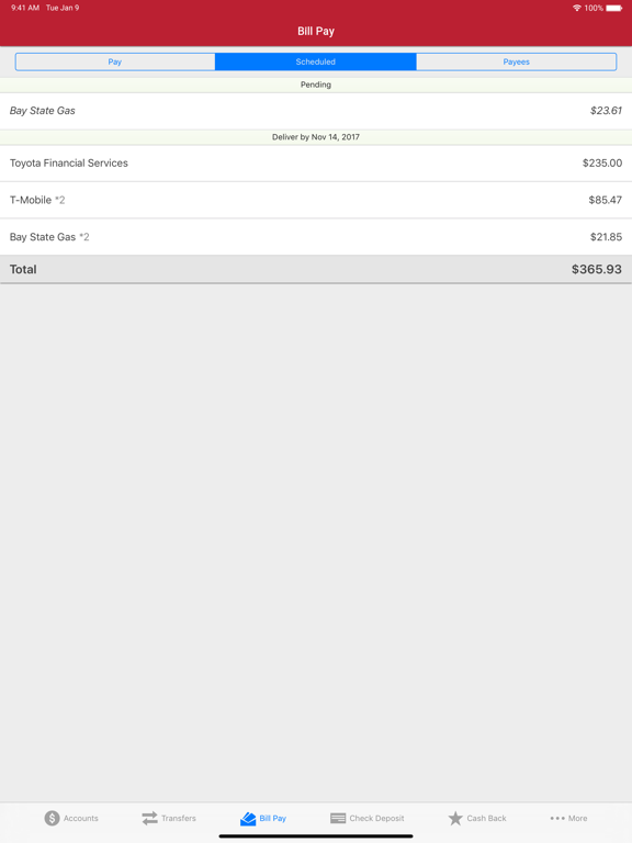 Bank Five Nine iPad screenshot 3 - Finance app