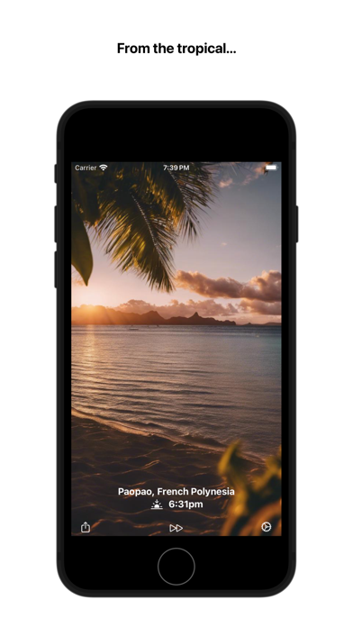 Sunsets Forever Screenshot
