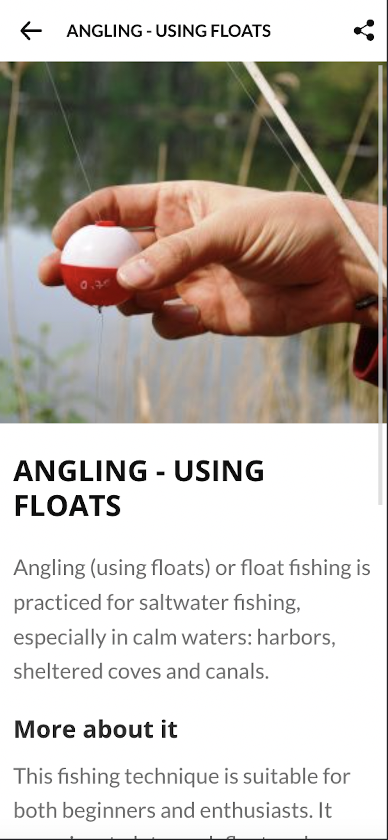 FishingTheSpot
