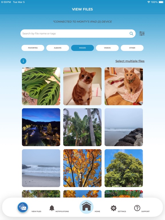 ThePhotoStick Omni iPad screenshot 4 - Utilities app