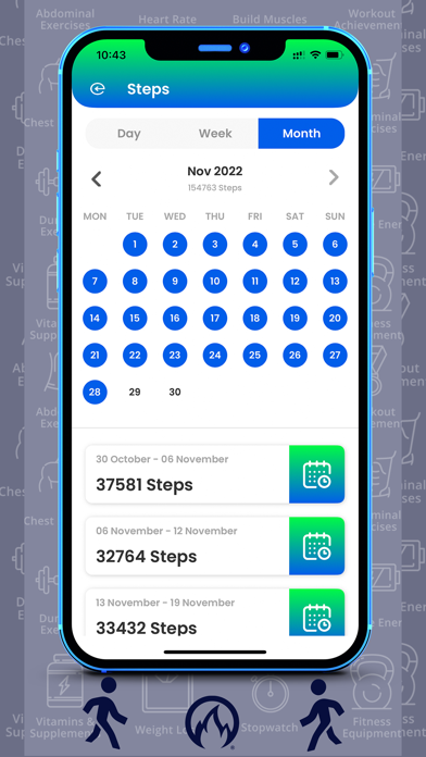 DR.EPIC PEDOMETER Screenshot