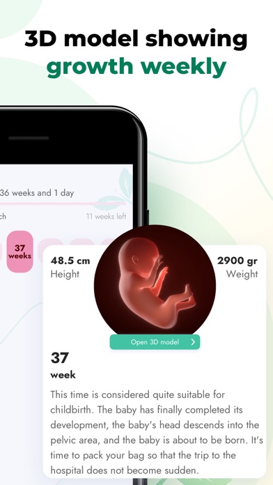 Baby Size - Pregnancy Tracker Screenshot