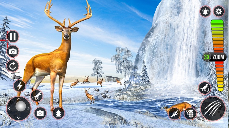 Wild Animal Battle Hunting
